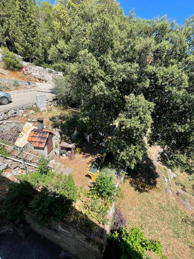 Apartman Nera Appartamento Ploce  Esterno foto